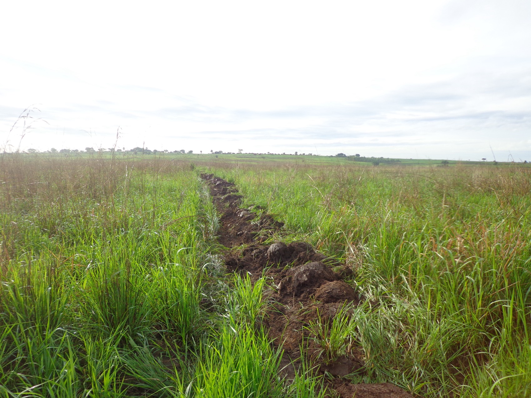 The Lakang centre crosses 5,900 acres of contracted service