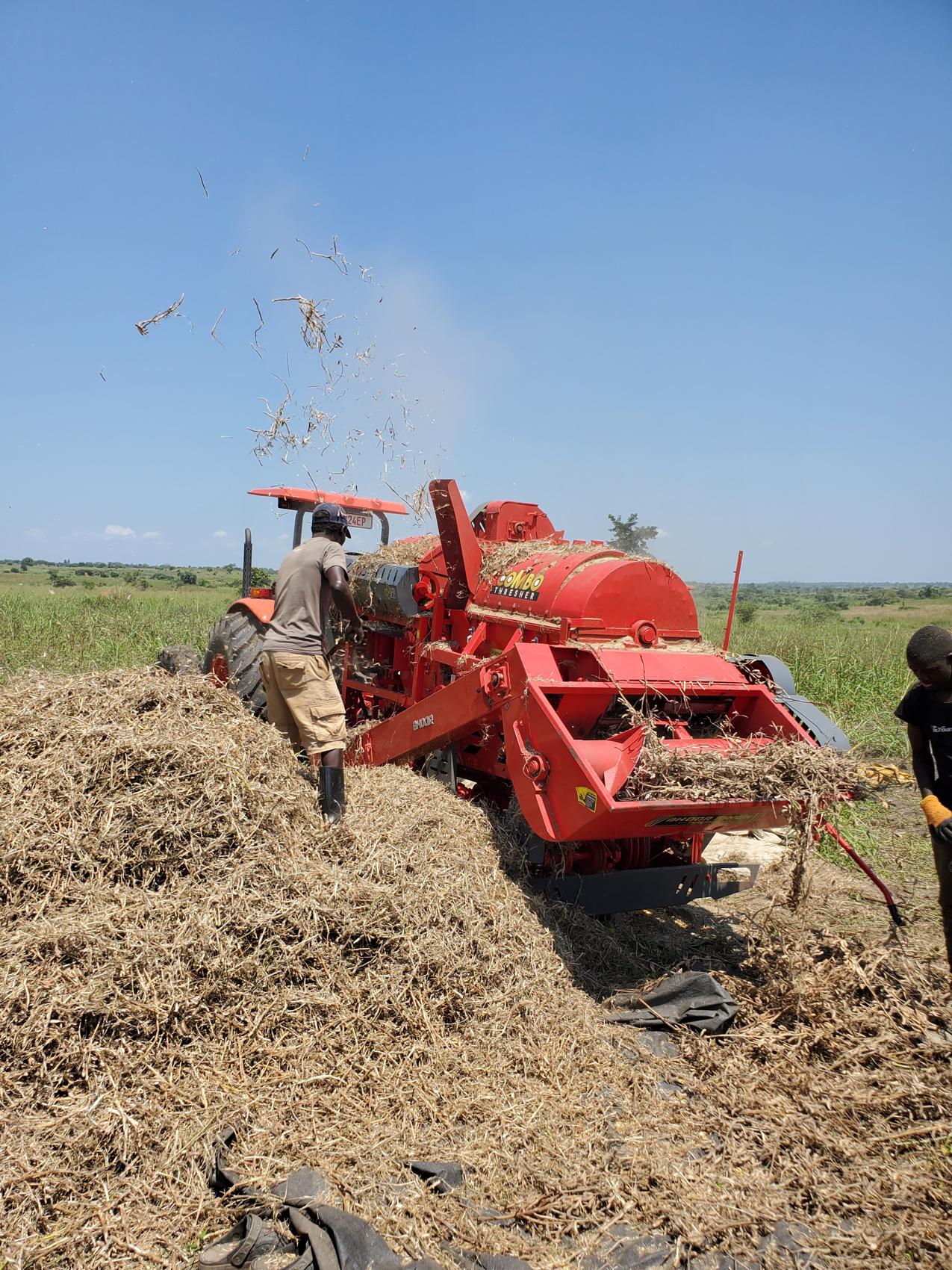 Feeding soya into the cooperative's grain thresher in the field